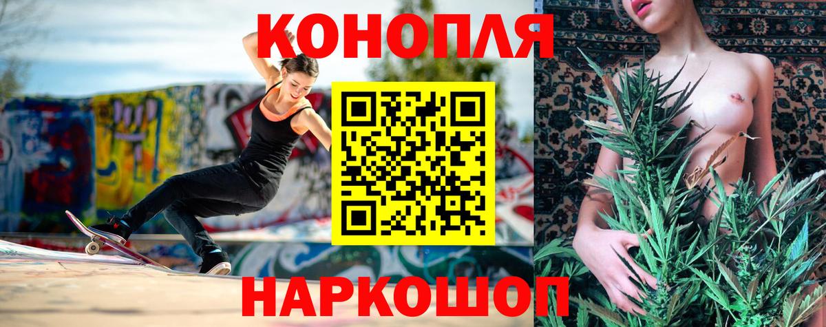 Каннабис OG Kush  Каннабис планчик  Конопля ГИДРОПОН  Тулун  Вход с VPN 